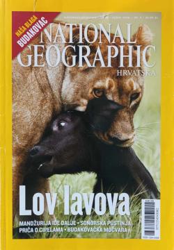 National Geographic Hrvatska #9: Lov lavova