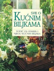 Sve o kućnim biljkama: Vodič za odabir i njegu kućnih biljaka