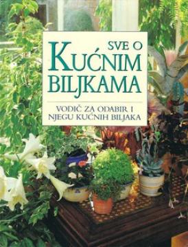 Sve o kućnim biljkama: Vodič za odabir i njegu kućnih biljaka
