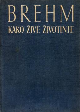 Kako žive životinje