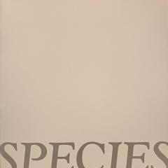 Damir Kopić: Species