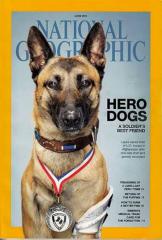 National Geographic #'14/06: Hero Dogs - A Soldier's Best Friend