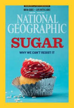 National Geographic #'13/08: Sugar - Why We Can't Resist It