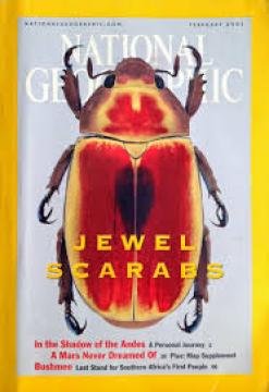 National Geographic #'01/02: Jewel Scarabs