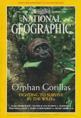 National Geographic #'00/02: Orphan Gorillas - Fighting To Survive In The Wild