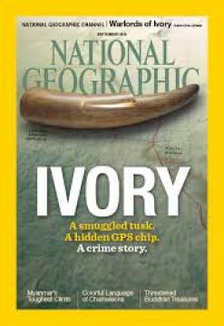 National Geographic #'15/09: Ivory - A Smuggled Tusk, A Hidden GPS Chip, A Crime Story