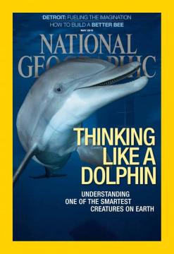 National Geographic #'15/05: Thinking Like A Dolphin - Understanding One Of The Smartest Creatures On Earth