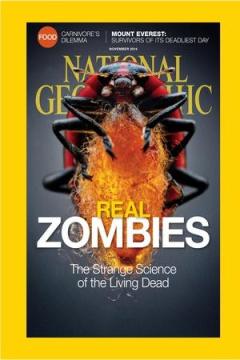 National Geographic #'14/11: Real Zombies - The Strange Science of the Living Dead