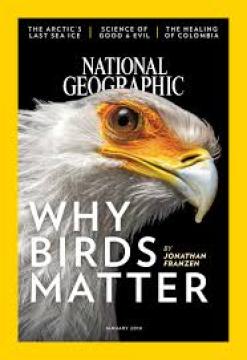 National Geographic #'18/01: Why Birds Matter