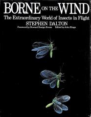 Borne on the Wind: Extraordinary World of Insects in Flight