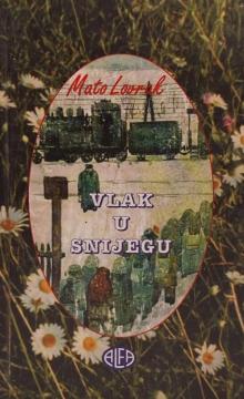 Vlak u snijegu