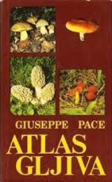 Atlas gljiva