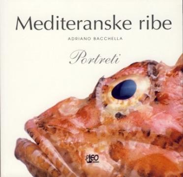 Mediteranske ribe – portreti