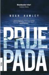 Prije pada