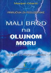 Mali brod na olujnom moru
