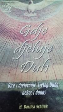 Gdje djeluje Duh: biće i djelovanje Svetoga Duha nekoć i danas
