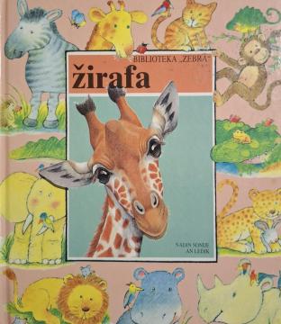 Žirafa