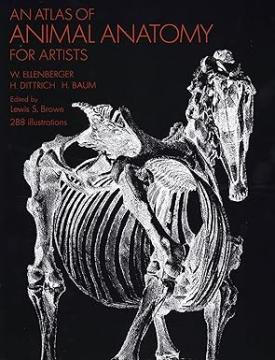 An Atlas of Animal Anatomy for Artists