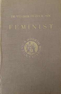 Feminist: roman iz nedavne prošlosti