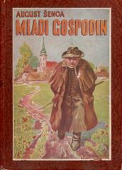 Mladi gospodin