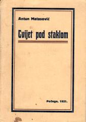 Cvijet pod staklom
