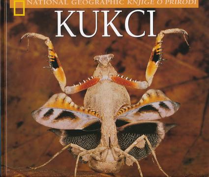 Kukci