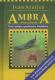 Ambra : roman s ključem