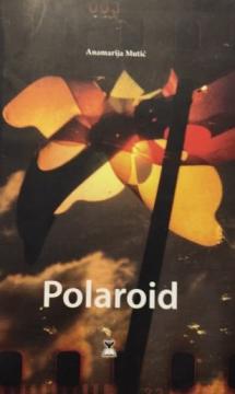 Polaroid