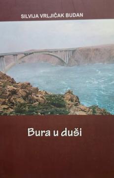 Bura u duši