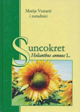 Suncokret, helianthus annuus L.
