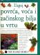 Uzgoj povrća, voća i začinskog bilja u vrtu