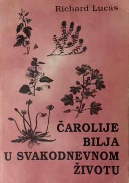 Čarolije bilja u svakodnevnom životu