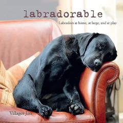 Labradorable